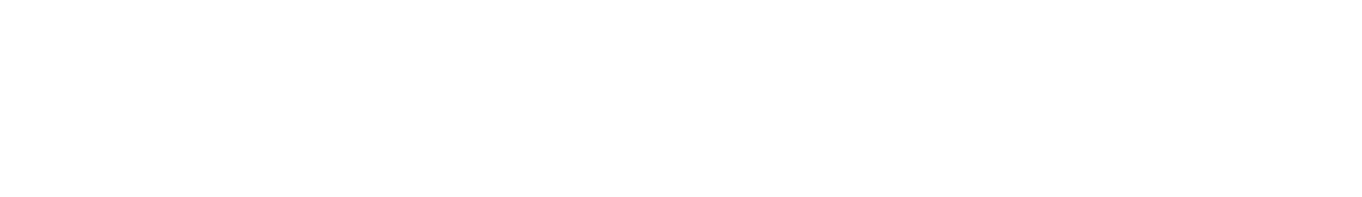 MetroAuto